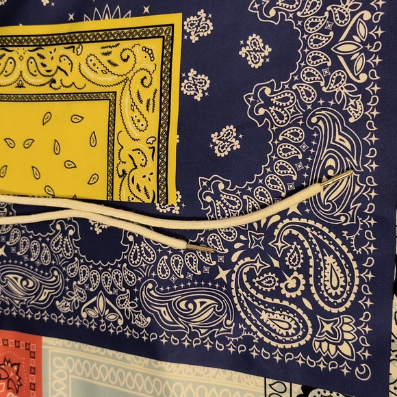 Multicolor Paisley Print Men's Hoodie - Picture 3 of 4